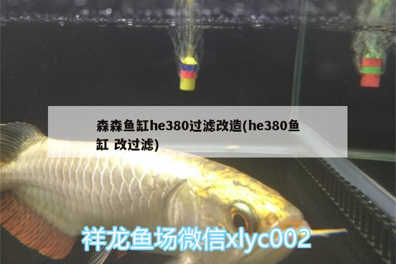 森森鱼缸he380过滤改造(he380鱼缸改过滤)