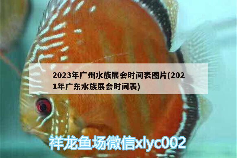 2023年广州水族展会时间表图片(2021年广东水族展会时间表)