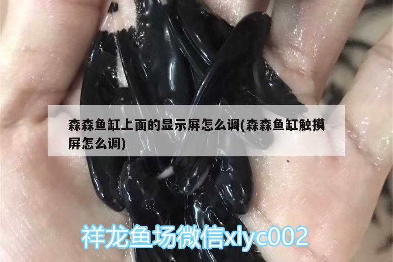 森森鱼缸上面的显示屏怎么调(森森鱼缸触摸屏怎么调) 球鲨鱼