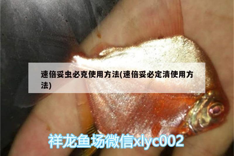 速倍妥虫必克使用方法(速倍妥必定清使用方法)