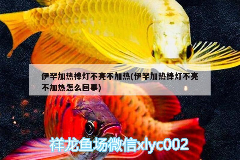 伊罕加热棒灯不亮不加热(伊罕加热棒灯不亮不加热怎么回事)