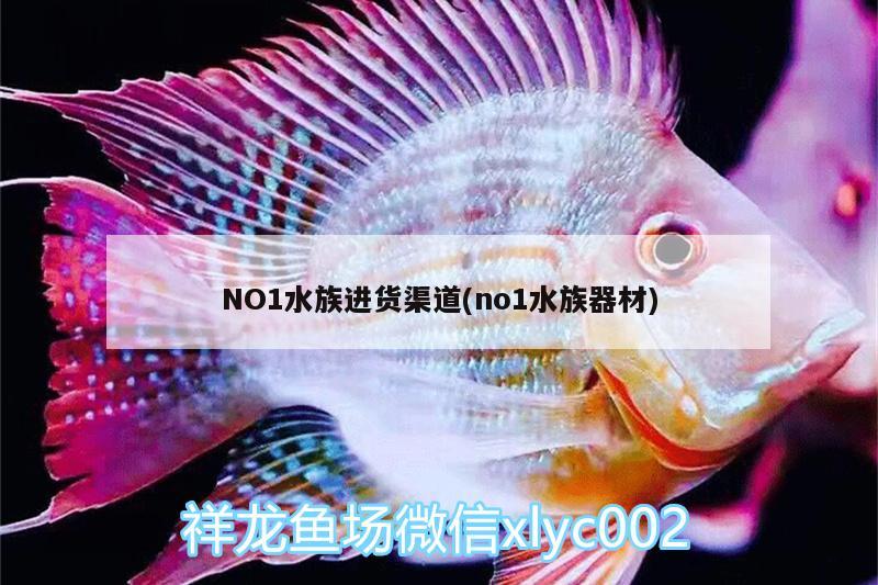 NO1水族进货渠道(no1水族器材)