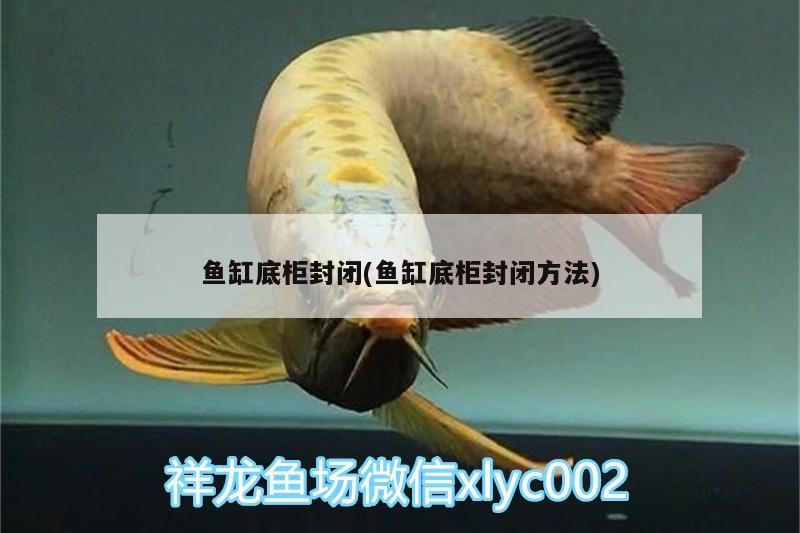 鱼缸底柜封闭(鱼缸底柜封闭方法) 广州水族器材滤材批发市场 第1张