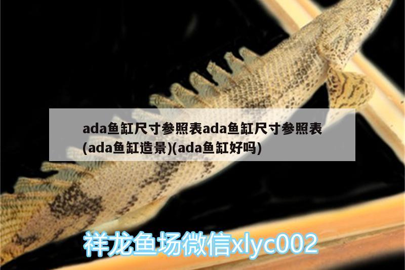 ada鱼缸尺寸参照表ada鱼缸尺寸参照表(ada鱼缸造景)(ada鱼缸好吗) 七纹巨鲤鱼