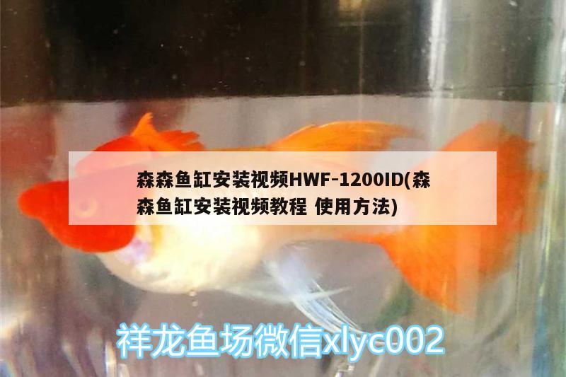 森森鱼缸安装视频HWF-1200ID(森森鱼缸安装视频教程使用方法)