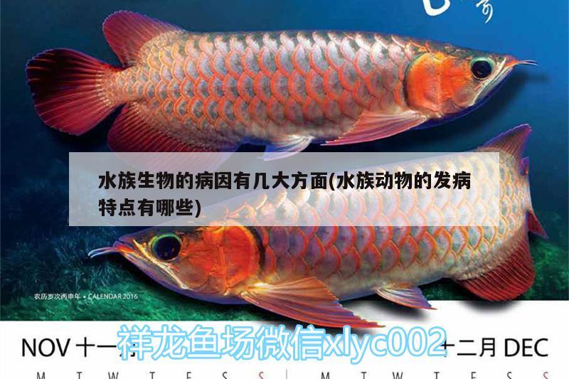 水族生物的病因有几大方面(水族动物的发病特点有哪些)