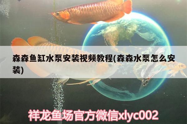 森森鱼缸水泵安装视频教程(森森水泵怎么安装)