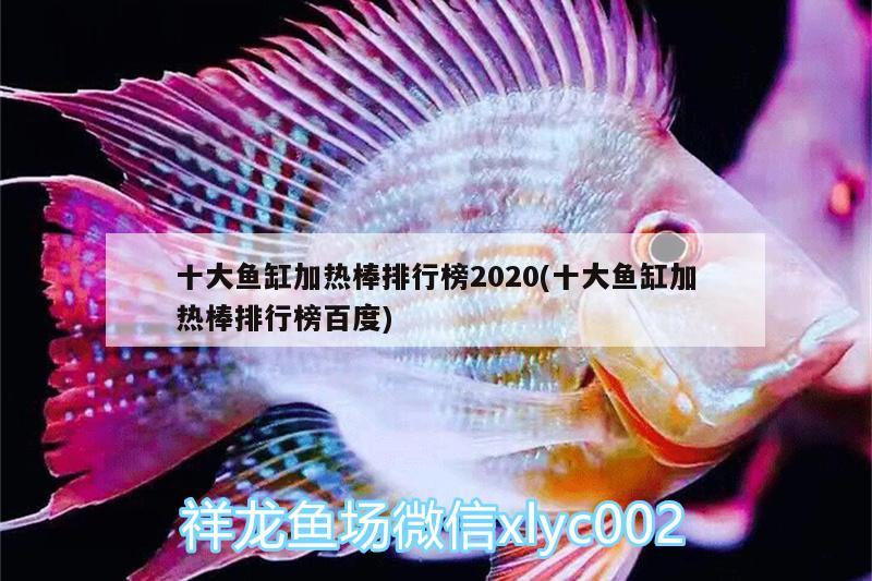 十大鱼缸加热棒排行榜2020(十大鱼缸加热棒排行榜百度)