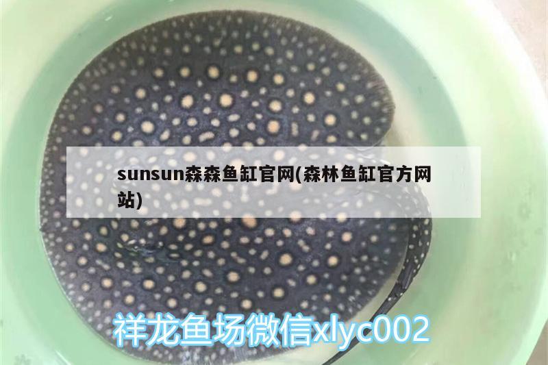 sunsun森森鱼缸官网(森林鱼缸官方网站) 大白鲨鱼