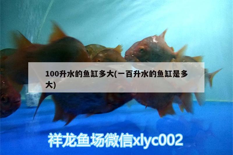 100升水的鱼缸多大(一百升水的鱼缸是多大) 温控设备