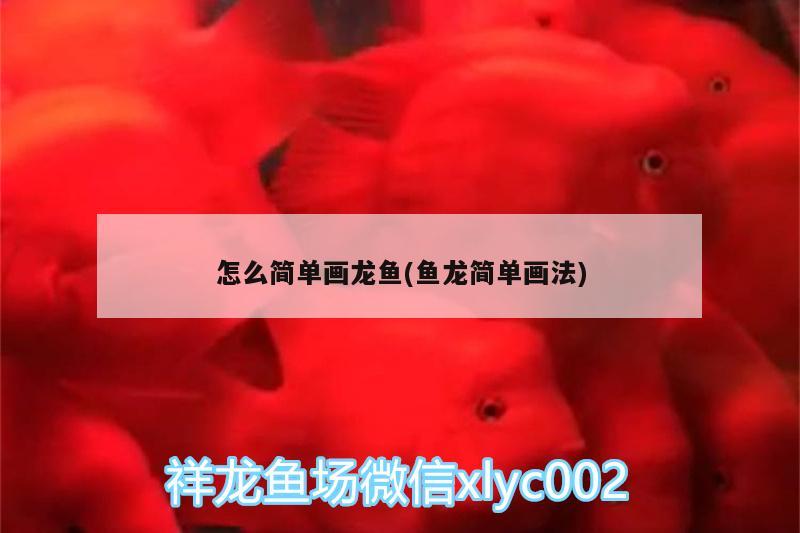 怎么简单画龙鱼(鱼龙简单画法) 广州观赏鱼鱼苗批发市场