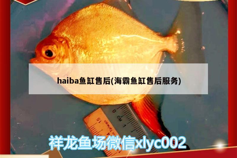 haiba鱼缸售后(海霸鱼缸售后服务)