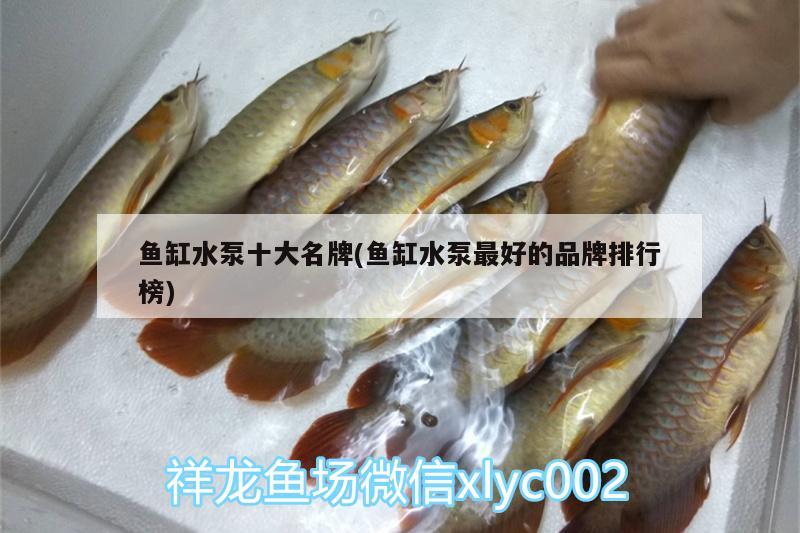 鱼缸水泵十大名牌(鱼缸水泵最好的品牌排行榜) 鱼缸水泵