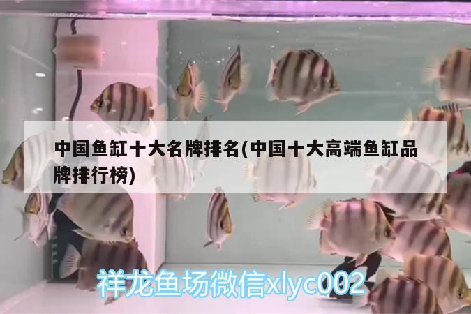 中国鱼缸十大名牌排名(中国十大高端鱼缸品牌排行榜)