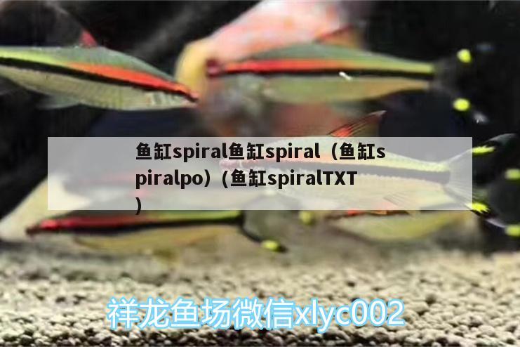 鱼缸spiral鱼缸spiral（鱼缸spiralpo）(鱼缸spiralTXT) 巴西亚鱼苗