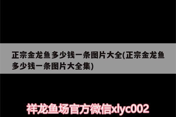 正宗金龙鱼多少钱一条图片大全(正宗金龙鱼多少钱一条图片大全集)