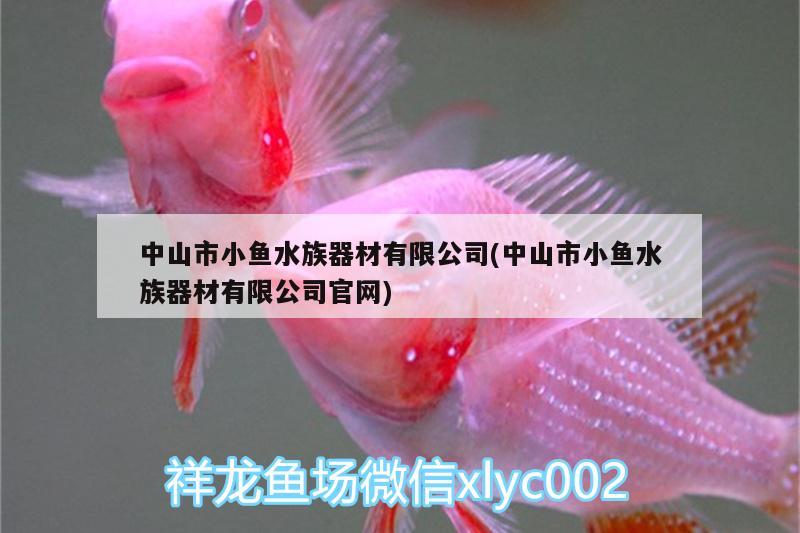 中山市小鱼水族器材有限公司(中山市小鱼水族器材有限公司官网) 刀鱼鱼