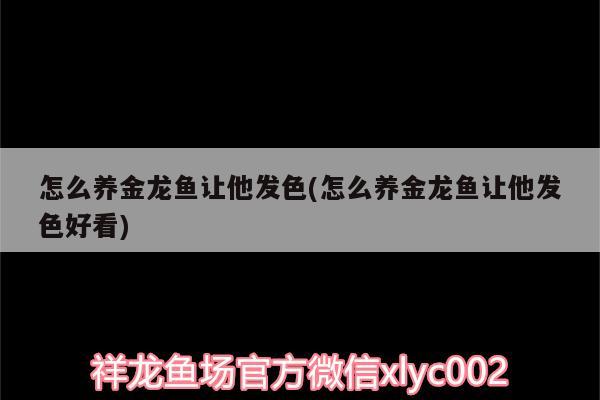 怎么养金龙鱼让他发色(怎么养金龙鱼让他发色好看)