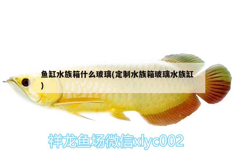 鱼缸水族箱什么玻璃(定制水族箱玻璃水族缸) 鱼缸/水族箱