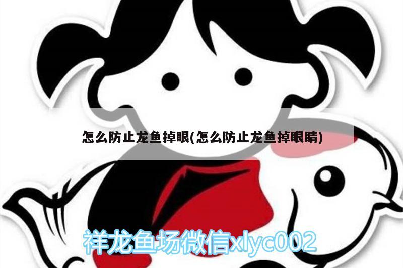 怎么防止龙鱼掉眼(怎么防止龙鱼掉眼睛) 泰国虎鱼 第4张