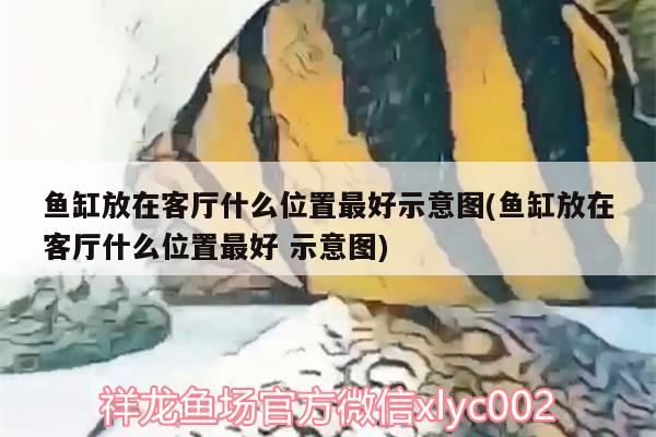 鱼缸放在客厅什么位置最好示意图(鱼缸放在客厅什么位置最好示意图)