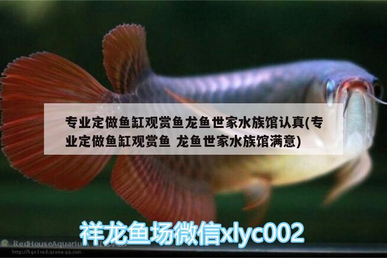 专业定做鱼缸观赏鱼龙鱼世家水族馆认真(专业定做鱼缸观赏鱼龙鱼世家水族馆满意)