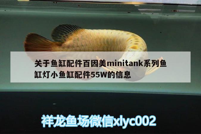 关于鱼缸配件百因美minitank系列鱼缸灯小鱼缸配件55W的信息 金老虎鱼