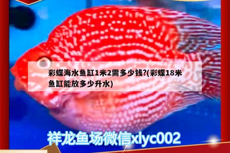 彩蝶海水鱼缸1米2需多少钱?(彩蝶18米鱼缸能放多少升水) 海水鱼