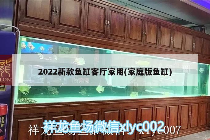 2022新款鱼缸客厅家用(家庭版鱼缸)