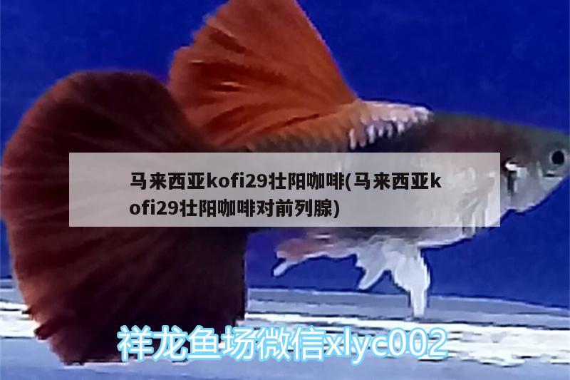 马来西亚kofi29壮阳咖啡(马来西亚kofi29壮阳咖啡对前列腺)