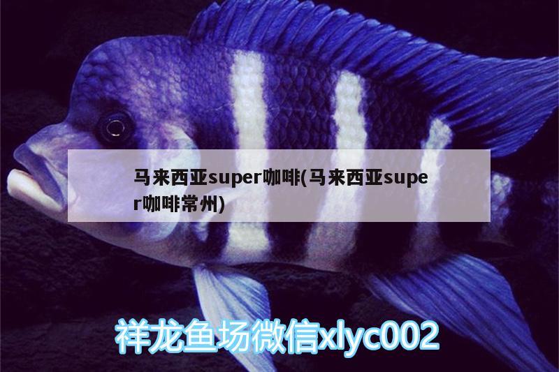 马来西亚super咖啡(马来西亚super咖啡常州) 垂钓乐园