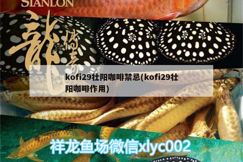 kofi29壮阳咖啡禁忌(kofi29壮阳咖啡作用) 马来西亚咖啡