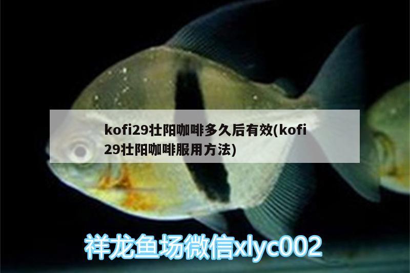 kofi29壮阳咖啡多久后有效(kofi29壮阳咖啡服用方法)