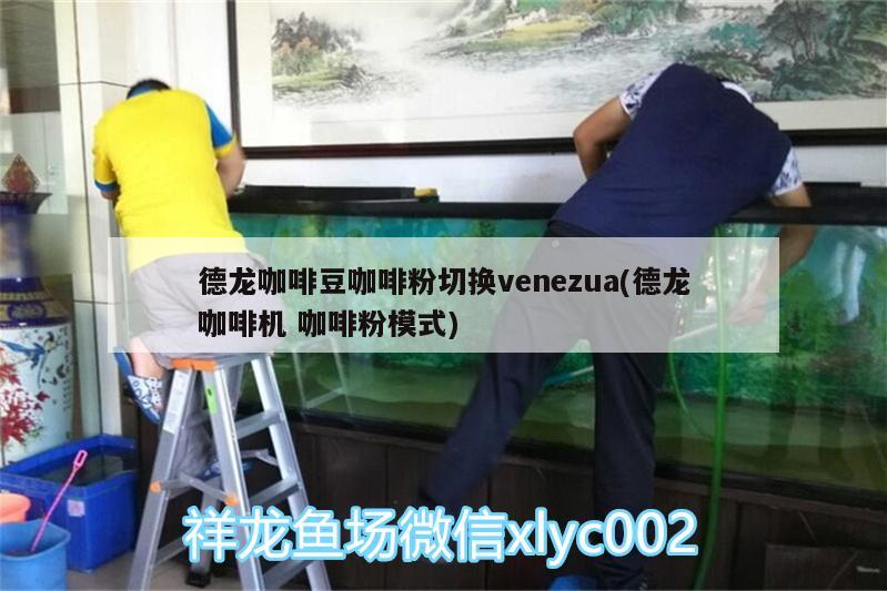 德龙咖啡豆咖啡粉切换venezua(德龙咖啡机咖啡粉模式)