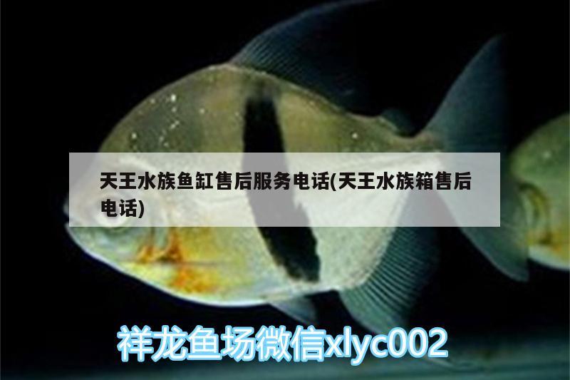 天王水族鱼缸售后服务电话(天王水族箱售后电话) 鱼缸/水族箱