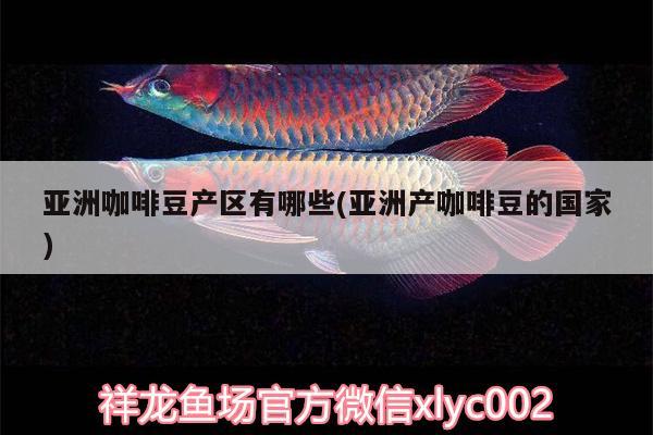 亚洲咖啡豆产区有哪些(亚洲产咖啡豆的国家) 马来西亚咖啡