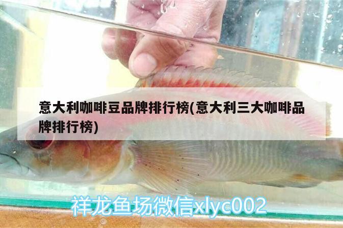 意大利咖啡豆品牌排行榜(意大利三大咖啡品牌排行榜) 马来西亚咖啡