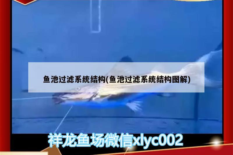 鱼池过滤系统结构(鱼池过滤系统结构图解) 水族用品