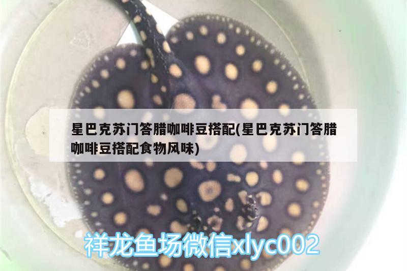 星巴克苏门答腊咖啡豆搭配(星巴克苏门答腊咖啡豆搭配食物风味) 马来西亚咖啡