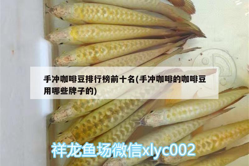 手冲咖啡豆排行榜前十名(手冲咖啡的咖啡豆用哪些牌子的) 马来西亚咖啡