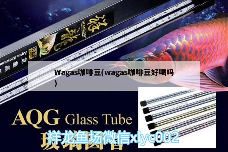 Wagas咖啡豆(wagas咖啡豆好喝吗) 马来西亚咖啡