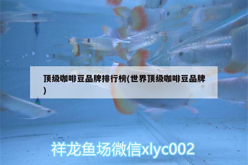 顶级咖啡豆品牌排行榜(世界顶级咖啡豆品牌) 马来西亚咖啡