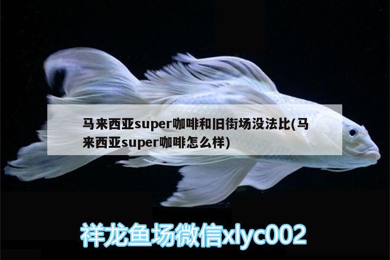 马来西亚super咖啡和旧街场没法比(马来西亚super咖啡怎么样)