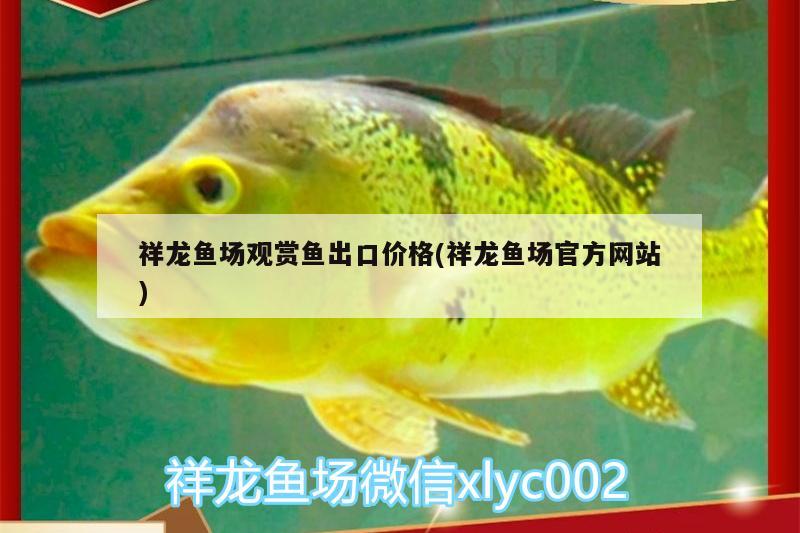 祥龙鱼场观赏鱼出口价格(祥龙鱼场官方网站) 观赏鱼进出口