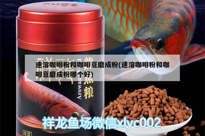 速溶咖啡粉和咖啡豆磨成粉(速溶咖啡粉和咖啡豆磨成粉哪个好)