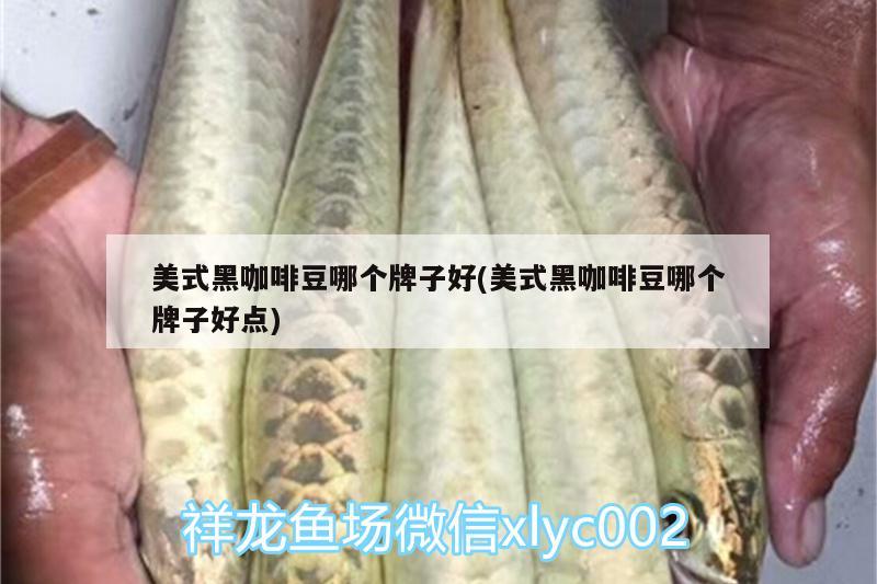 美式黑咖啡豆哪个牌子好(美式黑咖啡豆哪个牌子好点) 马来西亚咖啡