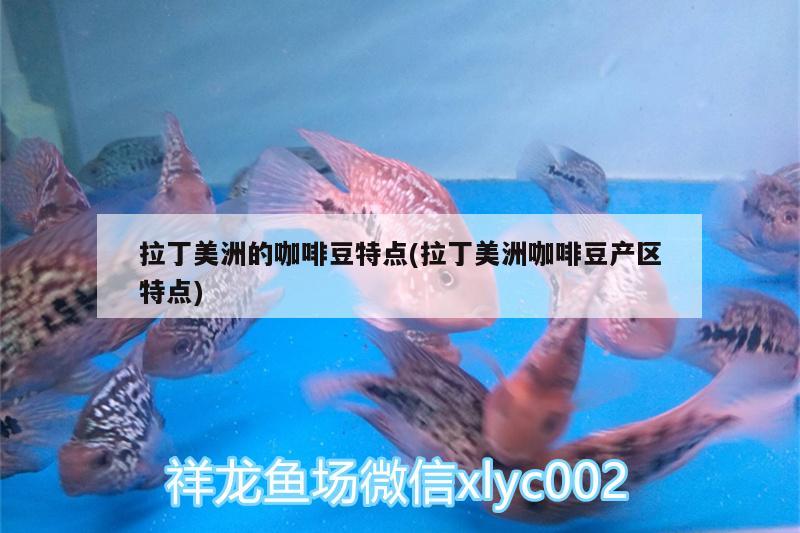 拉丁美洲的咖啡豆特点(拉丁美洲咖啡豆产区特点) 马来西亚咖啡