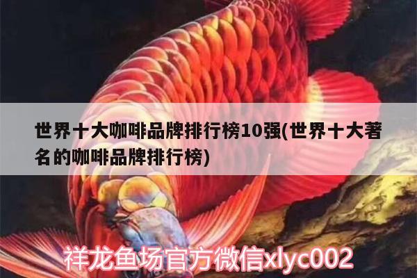 世界十大咖啡品牌排行榜10强(世界十大著名的咖啡品牌排行榜)