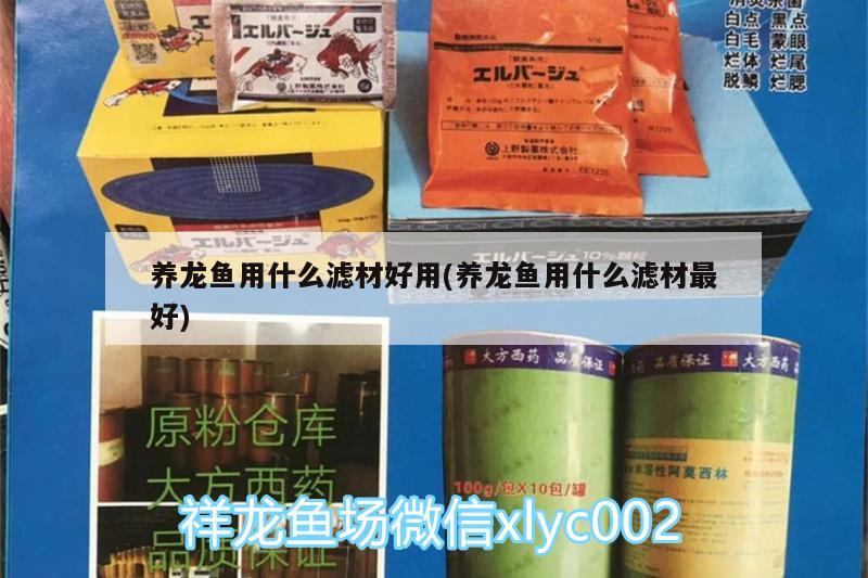 养龙鱼用什么滤材好用(养龙鱼用什么滤材最好) 巴西亚鱼苗