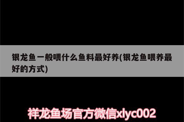 银龙鱼一般喂什么鱼料最好养(银龙鱼喂养最好的方式) 银龙鱼